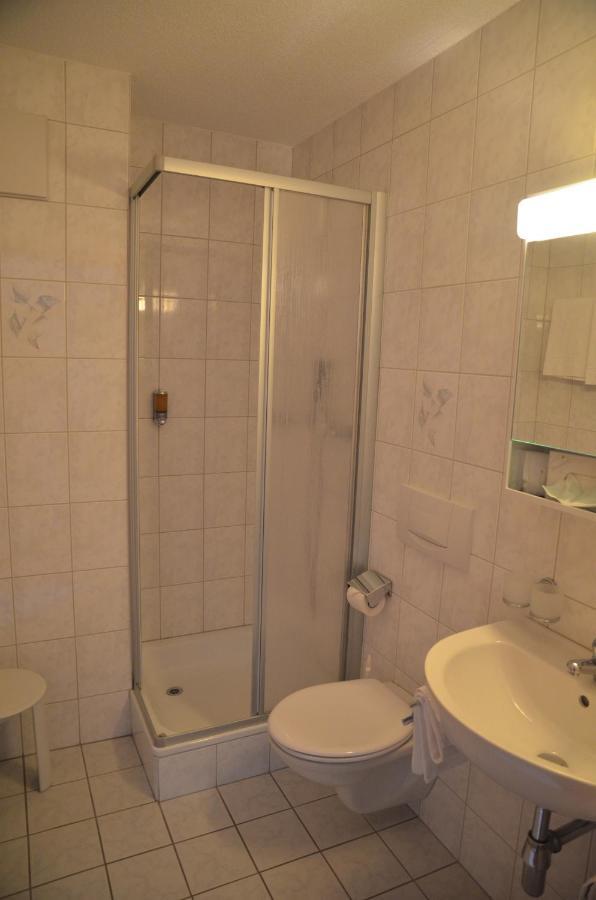 Hotel Arkanum Salgesch Dış mekan fotoğraf
